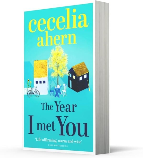 THE YEAR I MET YOU THE YEAR I MET YOU