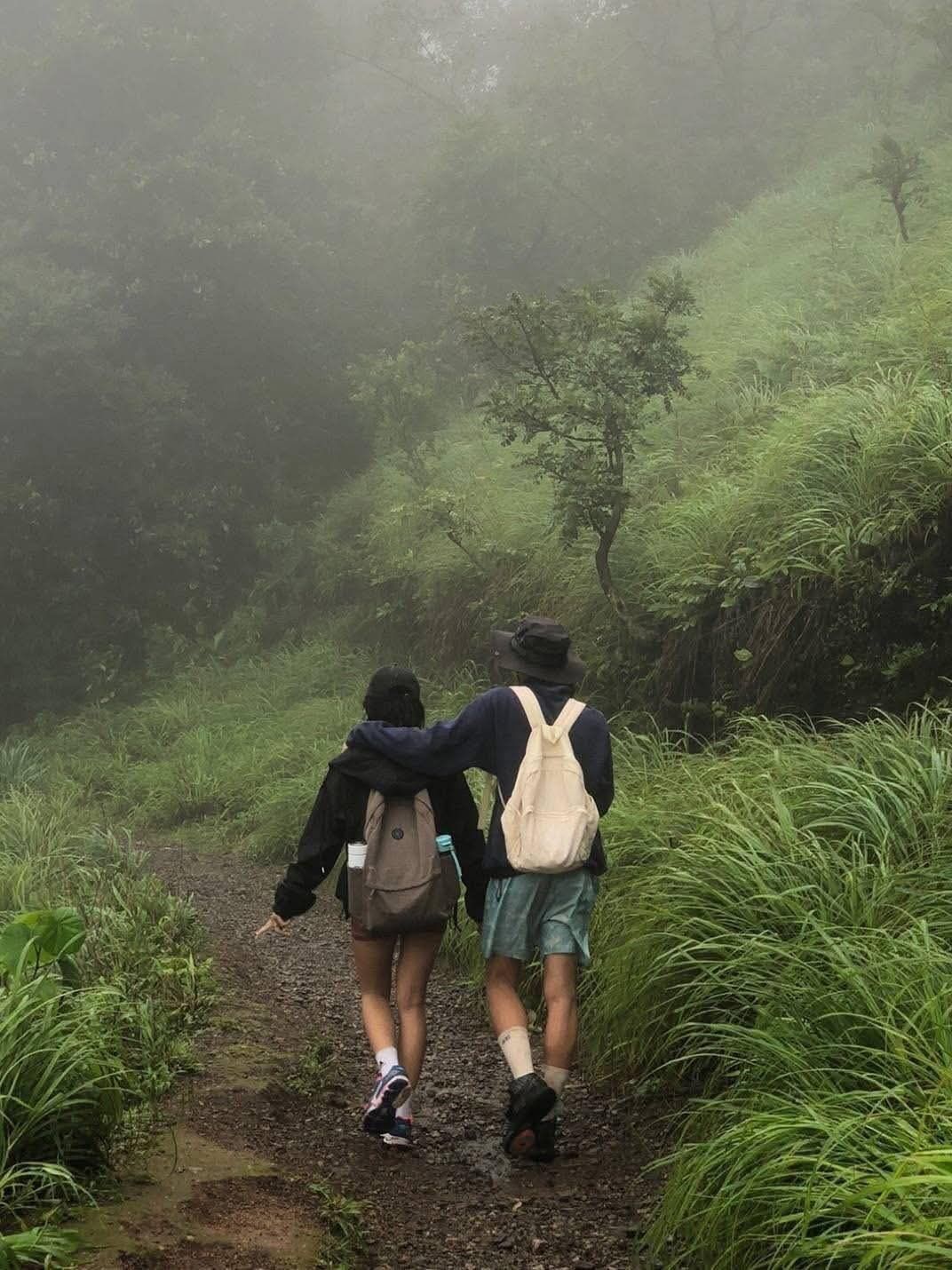 Forest Trail walks